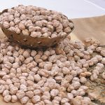 Chickpea (Dincer)
